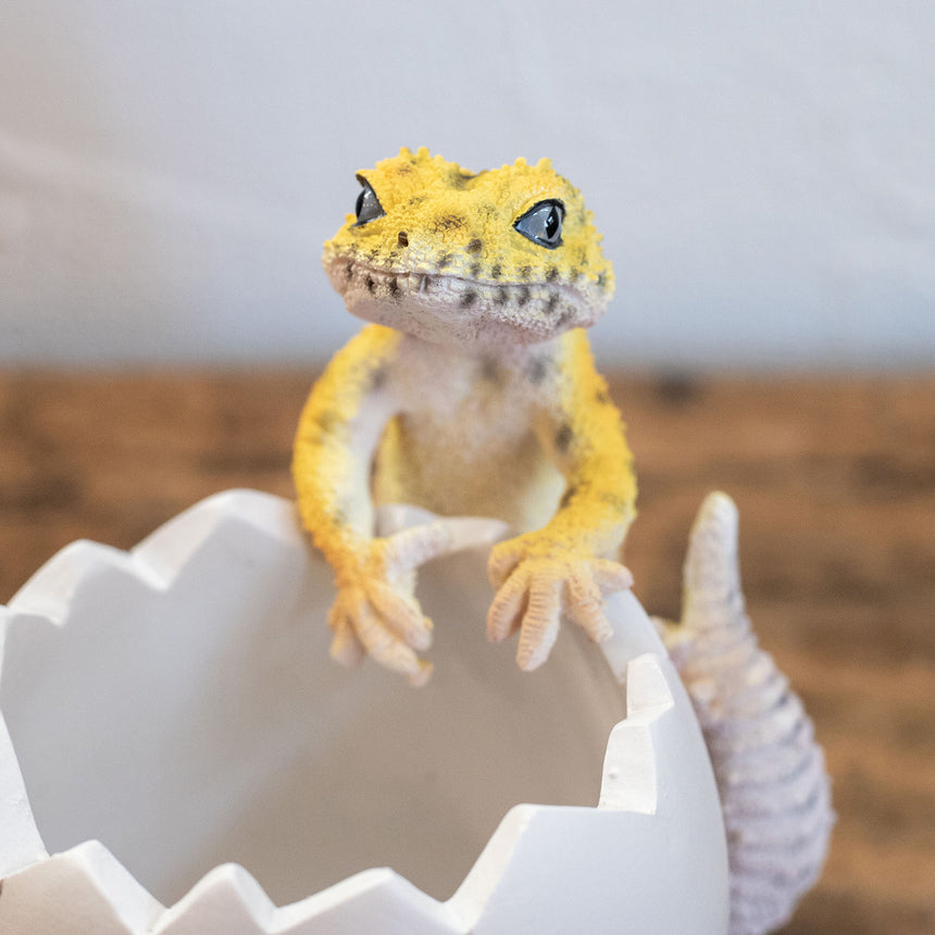 magnet / マグネット　かわいい印鑑ケース BOB UP STAND ペン立て レオパードゲッコー LEOPARD GECKO