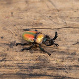 magnet / マグネット　マグネット ニジイロクワガタ（RAINBOW BEETLE）