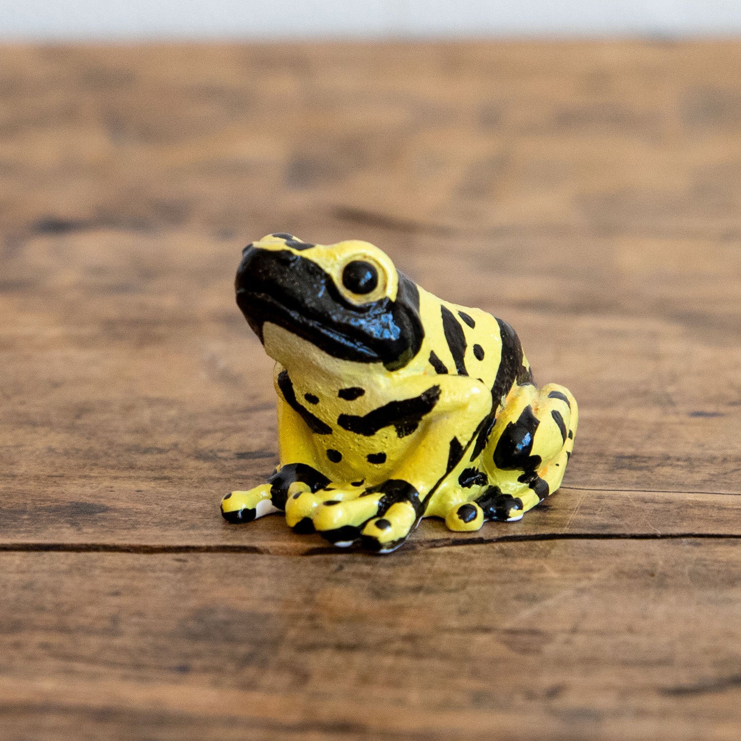 レプタイルズマグ 輝かしい ヤドクガエル・アマガエル REPTILES MAG DART FROGS・TREE FROG カエルの形のマグネット  クリップホルダー 文房具 文具 ステーショナリー オブジェ リアル magnet【最短発送】