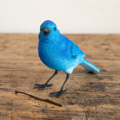 magnet / マグネット　リアルなブルーバードのオブジェ 　バーディ ビル ブルーバード　BIRDIE BILL BLUE BIRD