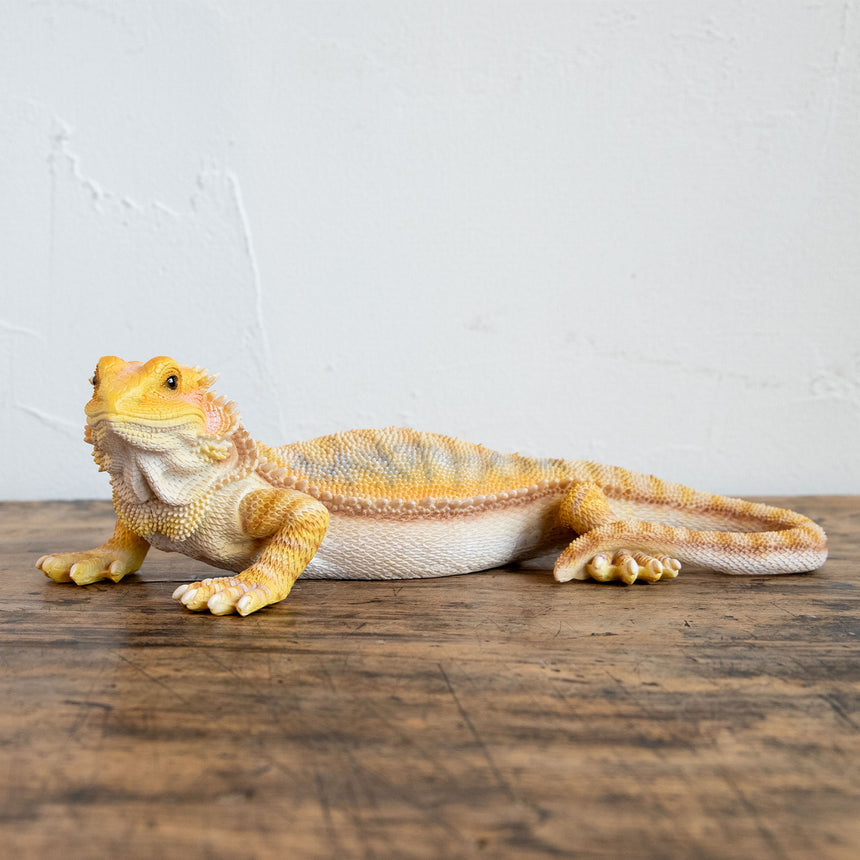 magnet / マグネット　PET BANK ペットバンク　POGONA YELLOW　フトアゴヒゲトカゲ　リアルな動物の貯金箱