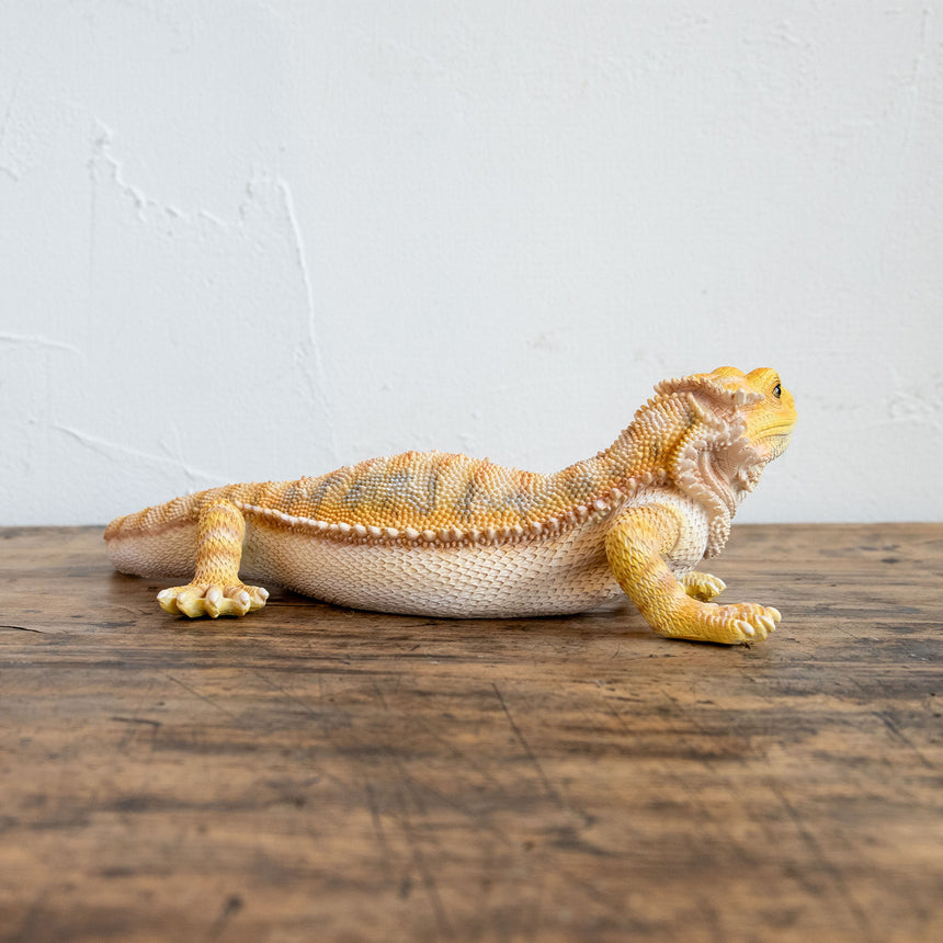 magnet / マグネット　PET BANK ペットバンク　POGONA YELLOW　フトアゴヒゲトカゲ　リアルな動物の貯金箱