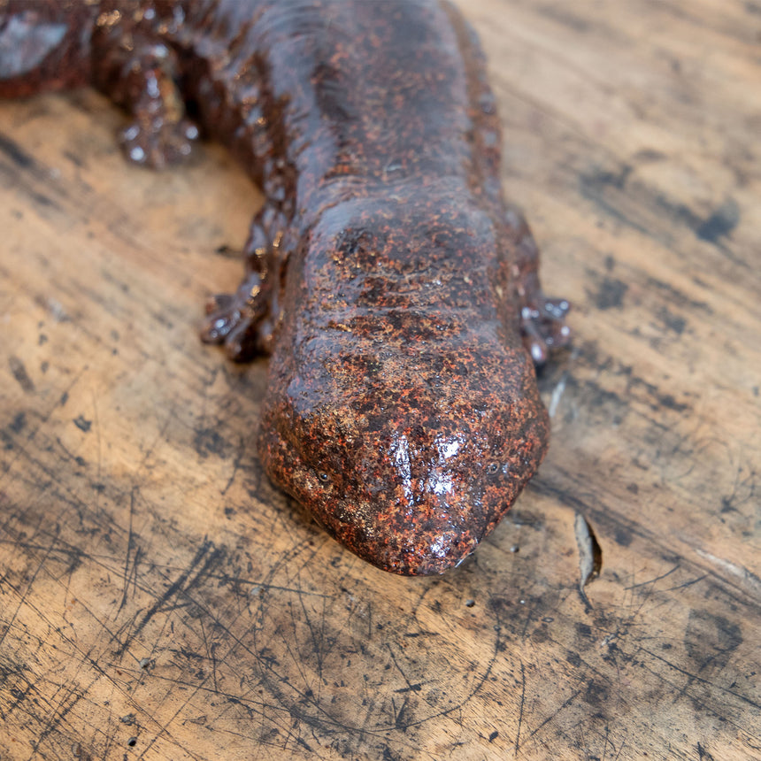 magnet / マグネット　PET BANK ペットバンク　GIANT SALAMANDER　オオサンショウウオ　リアルな動物の貯金箱