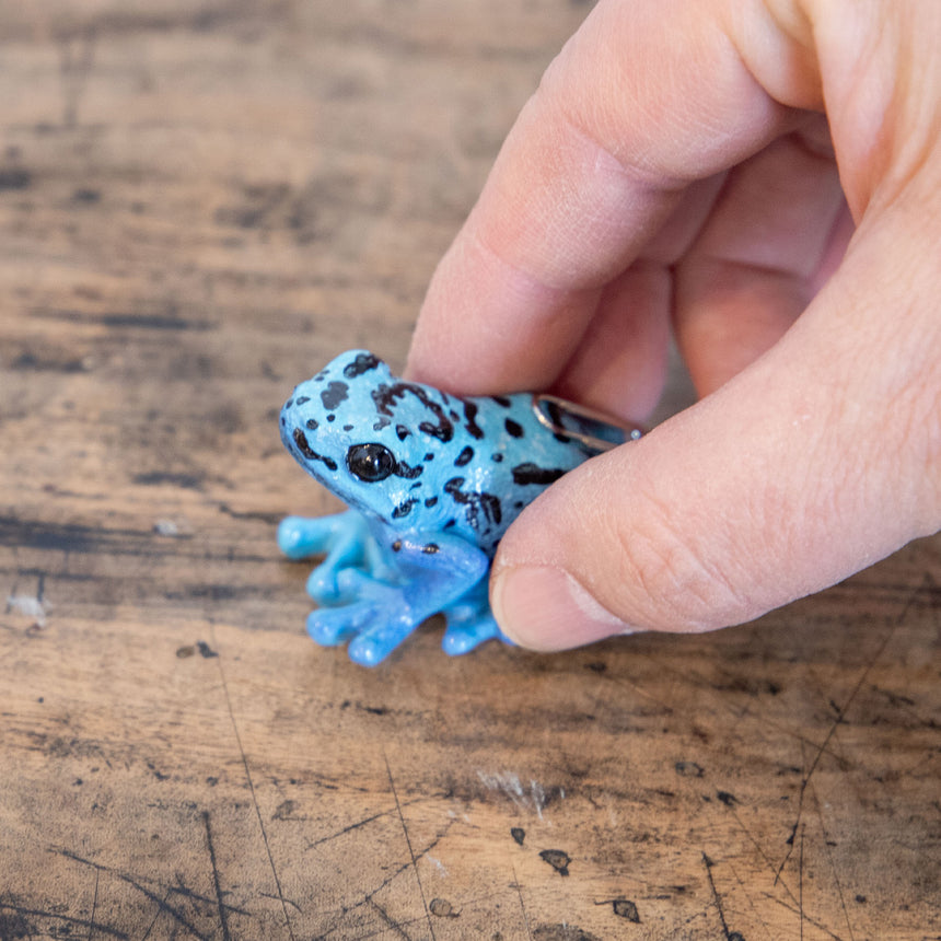 magnet / マグネット　リアルな生き物マグネット REPTILES MAG レプタイルズ マグ ヤドクガエル 青　BLUE POISON DART FROG