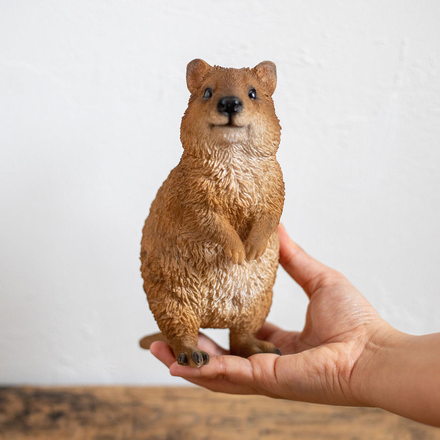 magnet / マグネット　PET BANK ペットバンク　QUOKKA　クアッカ　リアルな動物の貯金箱