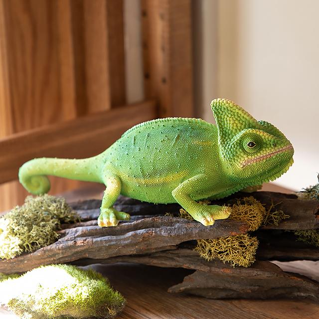 magnet / マグネット リアルな動物の貯金箱 PET BANK chameleon