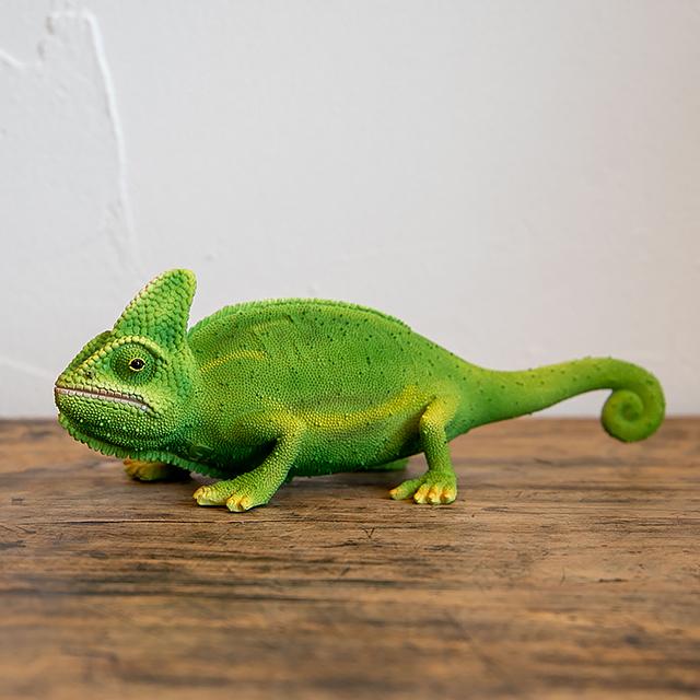 magnet / マグネット リアルな動物の貯金箱 PET BANK chameleon