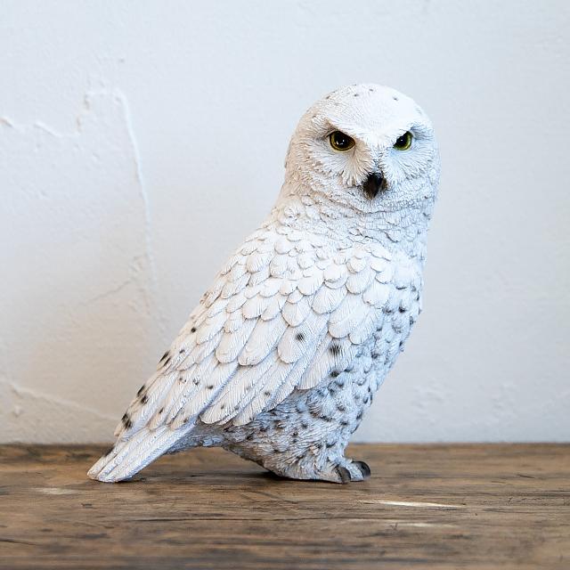 magnet / マグネット　リアルな動物の貯金箱 PET BANK OWL ペットバンク オウル SNOWY OWL