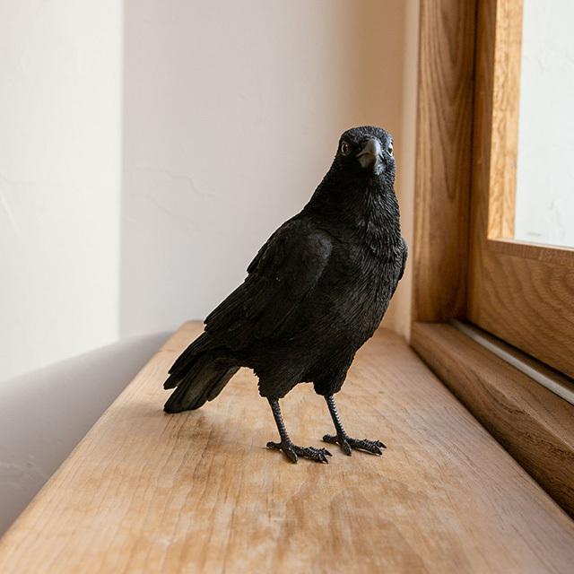 magnet / マグネット　PET BANK ペットバンク　CARRION CROW　カラス　リアルな動物の貯金箱　